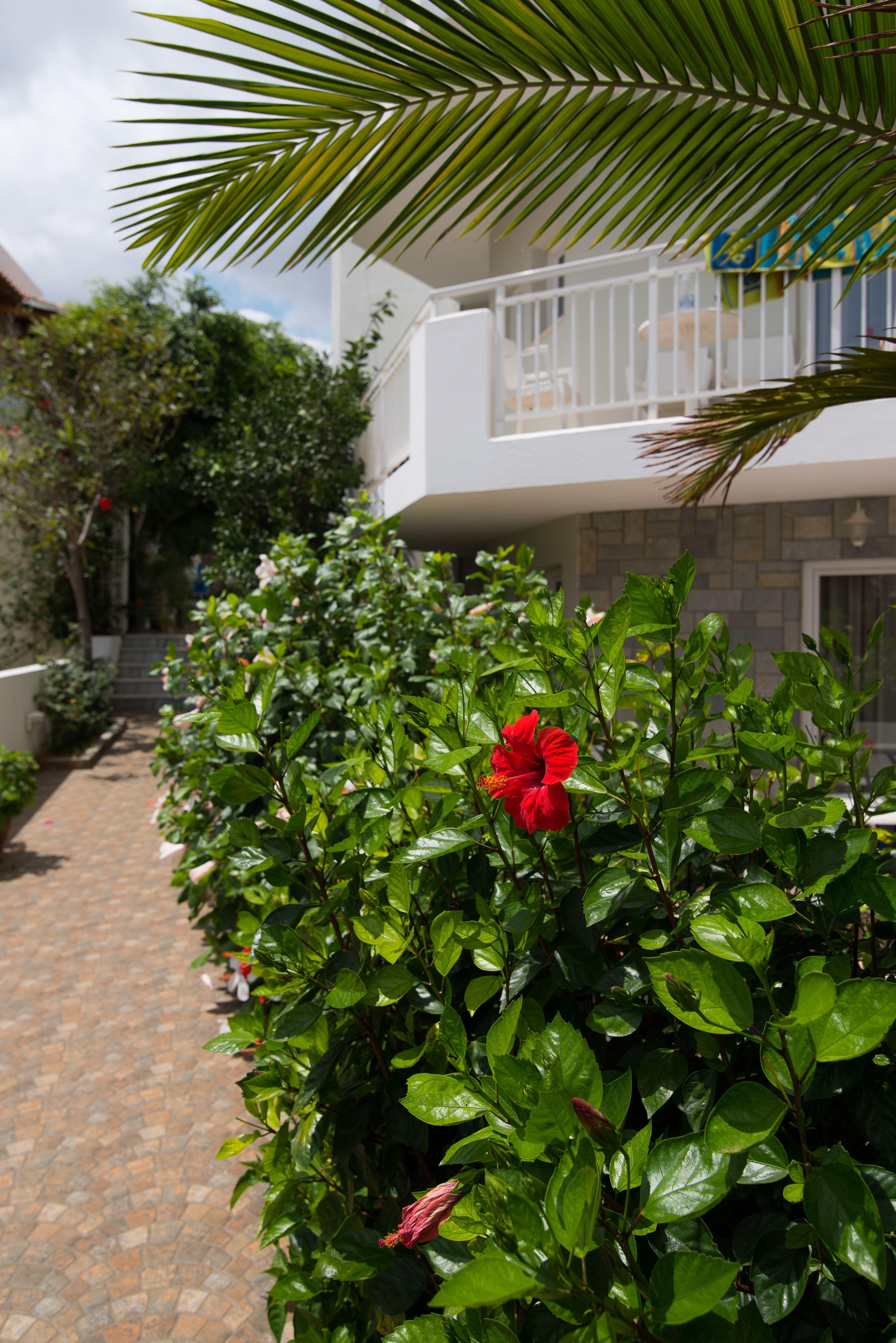 Melissa Apartments, Studios & Suites Малиа Екстериор снимка